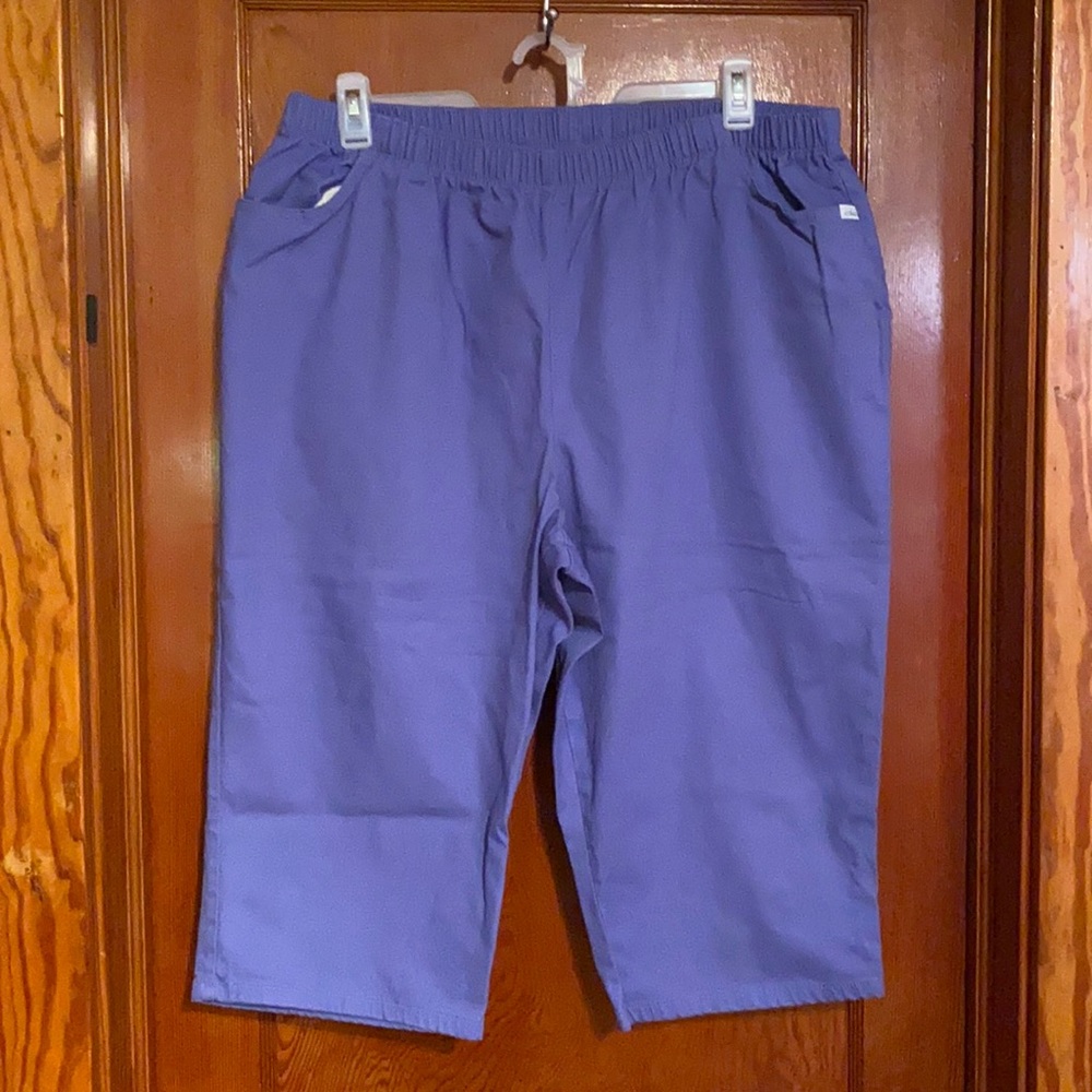 Women’s Chic Crop Pants Plus Size 24W AVG
